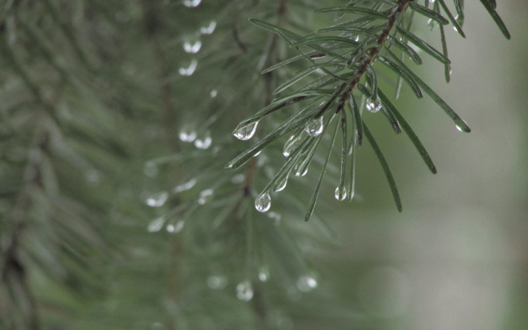 2022年雨水-雨水到來地解凍