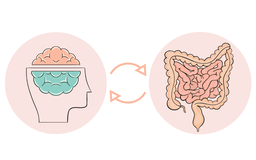腸腦軸線 -你的大腦與腸道一直都在說悄悄話
