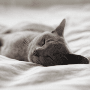 助眠精油