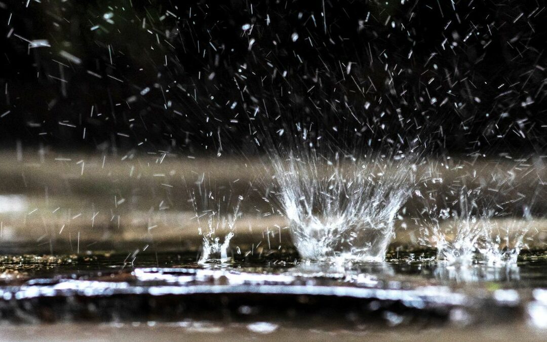 2023年雨水-雨水連綿是豐年，農夫不用力耕田