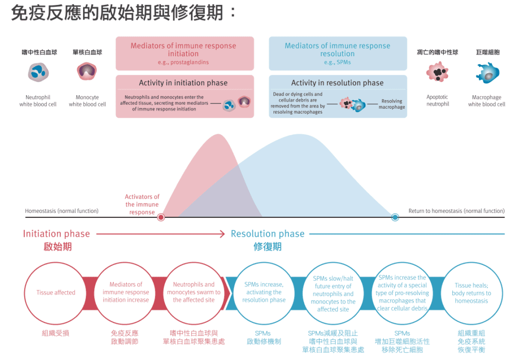 圖片來源 : 中華生醫提供