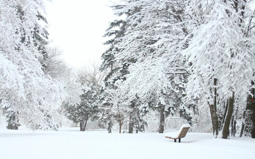 2023年大雪-大雪悄然至，大地銀裝素裹